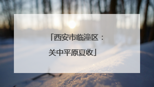 西安市临潼区：关中平原夏收