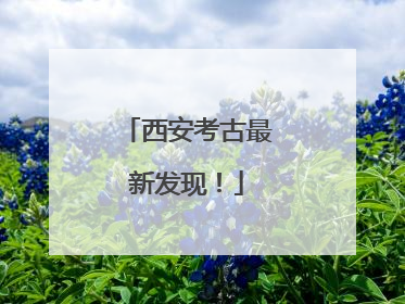 西安考古最新发现！