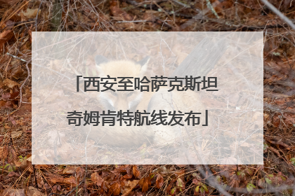 西安至哈萨克斯坦奇姆肯特航线发布