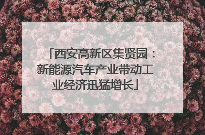 西安高新区集贤园：新能源汽车产业带动工业经济迅猛增长
