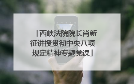 西峡法院院长肖新征讲授贯彻中央八项规定精神专题党课