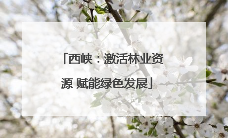 西峡：激活林业资源 赋能绿色发展