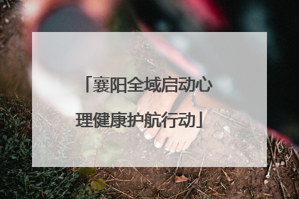 襄阳全域启动心理健康护航行动