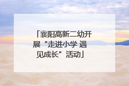 襄阳高新二幼开展“走进小学 遇见成长”活动