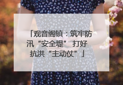 观音阁镇：筑牢防汛“安全堤” 打好抗洪“主动仗”