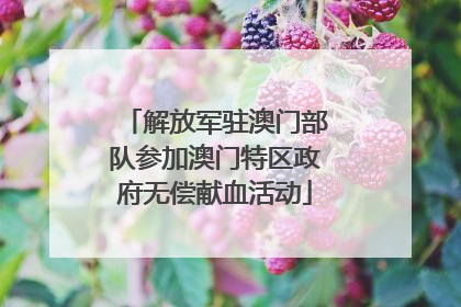 解放军驻澳门部队参加澳门特区政府无偿献血活动