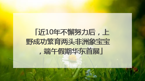 近10年不懈努力后，上野成功繁育两头非洲象宝宝，端午假期华东首展