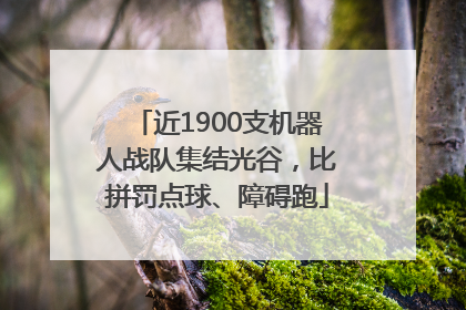 近1900支机器人战队集结光谷，比拼罚点球、障碍跑