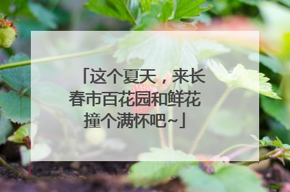 这个夏天，来长春市百花园和鲜花撞个满怀吧~
