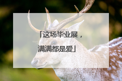 这场毕业展，满满都是爱