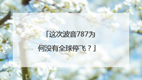 这次波音787为何没有全球停飞？
