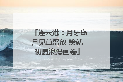 连云港：月牙岛月见草盛放 绘就初夏浪漫画卷