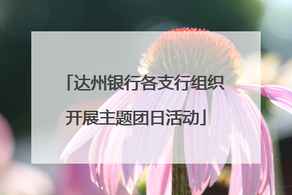 达州银行各支行组织开展主题团日活动