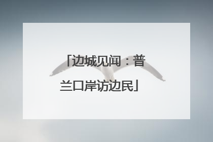 边城见闻：普兰口岸访边民