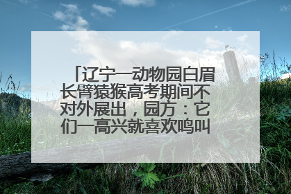 辽宁一动物园白眉长臂猿猴高考期间不对外展出，园方：它们一高兴就喜欢鸣叫，怕影响考试