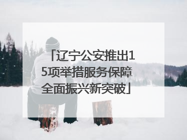 辽宁公安推出15项举措服务保障全面振兴新突破