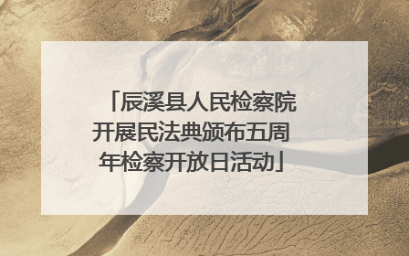 辰溪县人民检察院开展民法典颁布五周年检察开放日活动