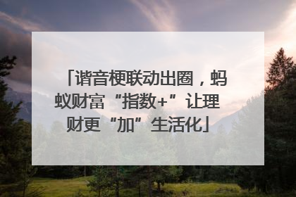 谐音梗联动出圈，蚂蚁财富“指数+”让理财更“加”生活化