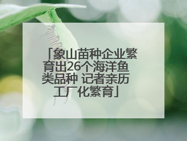 象山苗种企业繁育出26个海洋鱼类品种 记者亲历工厂化繁育