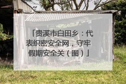 贵溪市白田乡：代表织密安全网，守牢假期安全关（图）