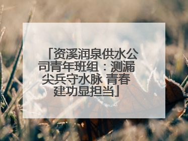 资溪润泉供水公司青年班组：测漏尖兵守水脉 青春建功显担当