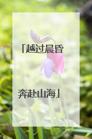 越过晨昏 奔赴山海