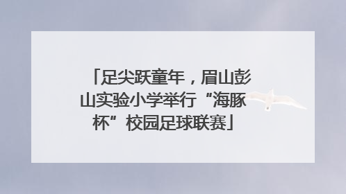 足尖跃童年，眉山彭山实验小学举行“海豚杯”校园足球联赛