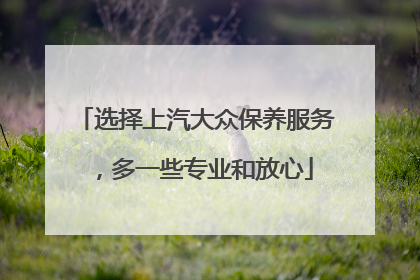 选择上汽大众保养服务，多一些专业和放心