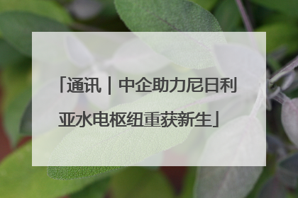 通讯｜中企助力尼日利亚水电枢纽重获新生