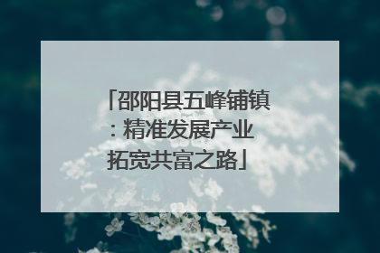 邵阳县五峰铺镇：精准发展产业 拓宽共富之路
