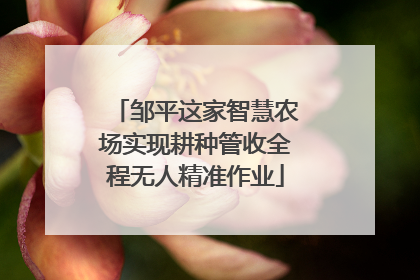 邹平这家智慧农场实现耕种管收全程无人精准作业