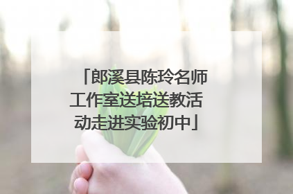 郎溪县陈玲名师工作室送培送教活动走进实验初中