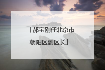 郝宝刚任北京市朝阳区副区长
