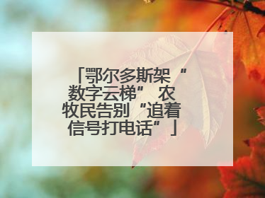 鄂尔多斯架“数字云梯” 农牧民告别“追着信号打电话”