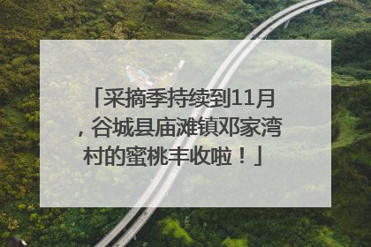 采摘季持续到11月，谷城县庙滩镇邓家湾村的蜜桃丰收啦！