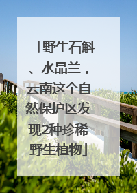野生石斛、水晶兰，云南这个自然保护区发现2种珍稀野生植物