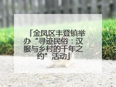 金凤区丰登镇举办“寻迹民俗：汉服与乡村的千年之约”活动
