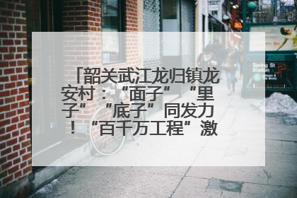 韶关武江龙归镇龙安村：“面子”“里子”“底子”同发力！“百千万工程”激活乡村新动能