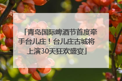 青岛国际啤酒节首度牵手台儿庄！台儿庄古城将上演30天狂欢盛宴