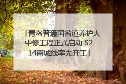 青岛普通国省道养护大中修工程正式启动 S214南城线率先开工