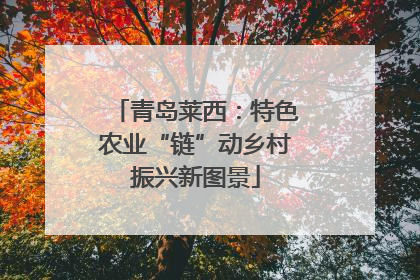 青岛莱西：特色农业“链”动乡村振兴新图景
