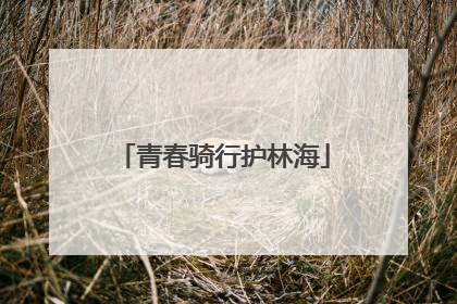 青春骑行护林海
