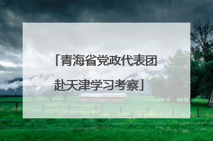 青海省党政代表团赴天津学习考察
