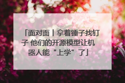 面对面丨拿着锤子找钉子 他们的开源模型让机器人能“上学”了