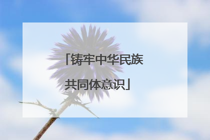 铸牢中华民族共同体意识