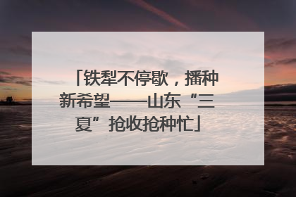铁犁不停歇，播种新希望——山东“三夏”抢收抢种忙