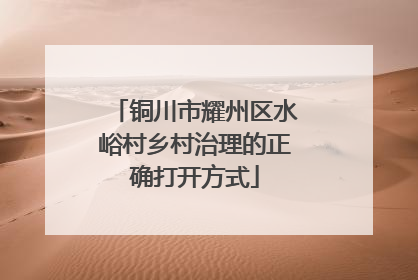 铜川市耀州区水峪村乡村治理的正确打开方式