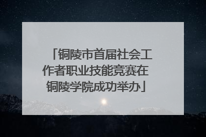铜陵市首届社会工作者职业技能竞赛在铜陵学院成功举办