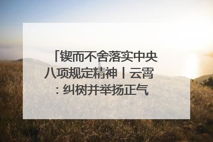 锲而不舍落实中央八项规定精神丨云霄：纠树并举扬正气 作风建设谱新章