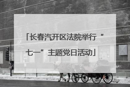 长春汽开区法院举行“七一”主题党日活动